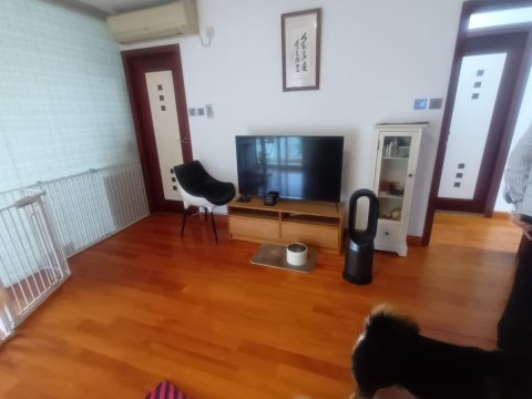 洞梓  95080030