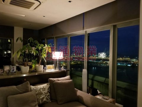 藍天海岸 第01期 第01座 大地在我腳下