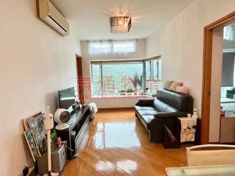藍天海岸 第01期 第02座 抵住兩房開揚