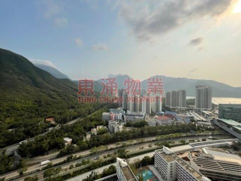 藍天海岸 第01期 第03座 向南一房單身至尊