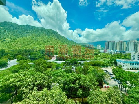 藍天海岸 第01期 第01座  低層開揚