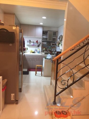洞梓 95080030