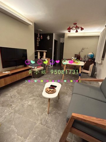 95081731