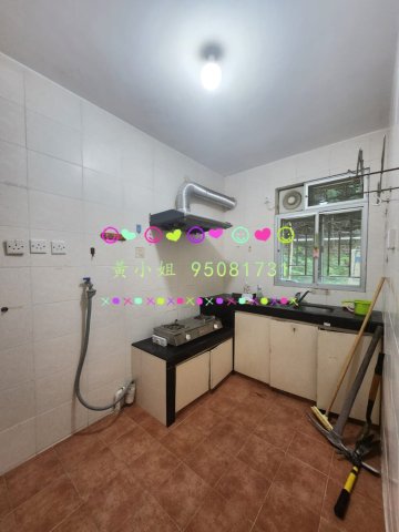 洞梓  95081731