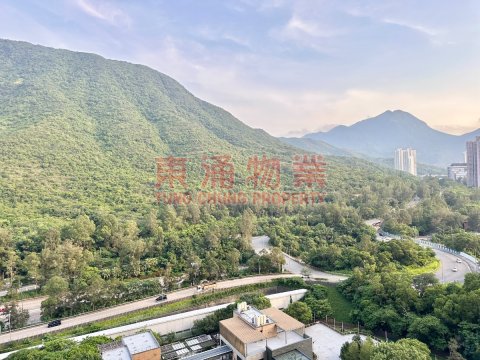 映灣園 第03期 第12座 兩房光猛新油油