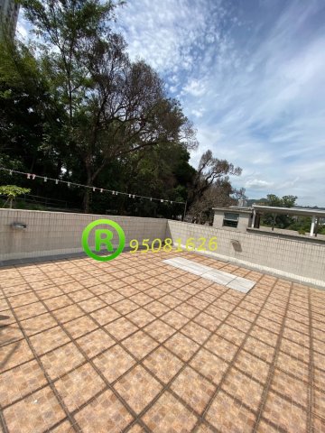 沙田頭 @ EMILY 95080096