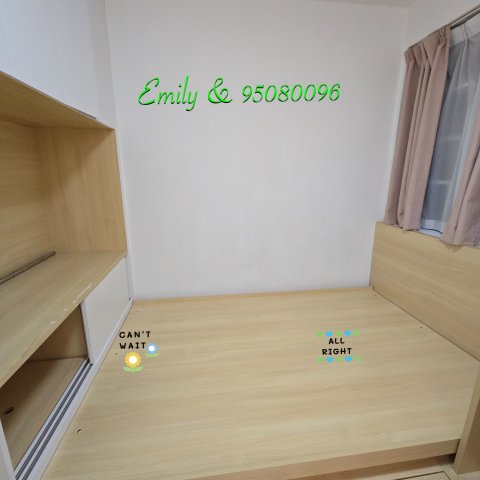 小瀝源村  @ EMILY 95080096