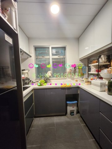 新屋仔村  95081731