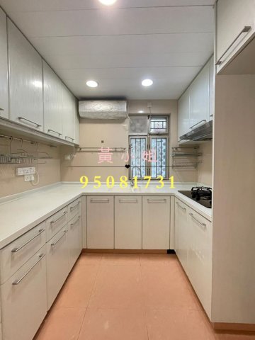 汀角村  95081731