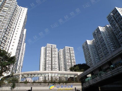 llam.com.hk