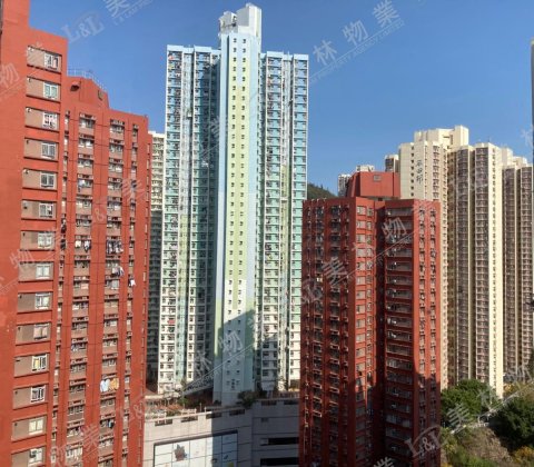 llam.com.hk