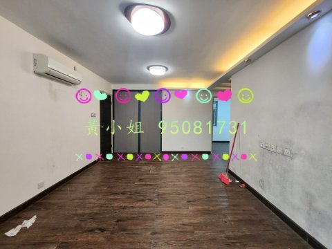 洞梓   95081731