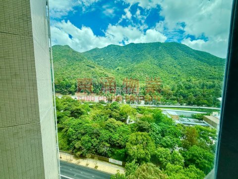 映灣園 第03期 第12座 兩房齊傢俬
