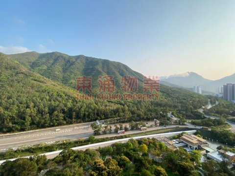 映灣園 第03期 第10座 兩房山景露台