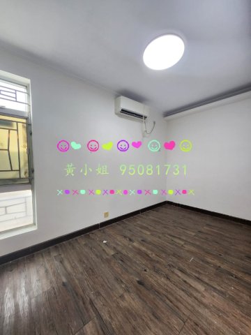 洞梓   95081731
