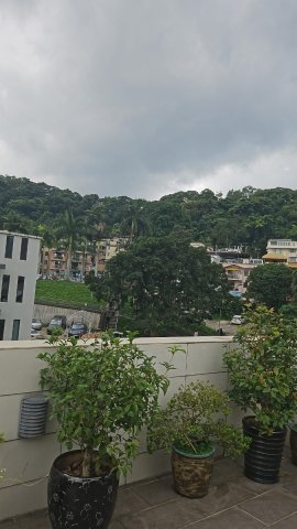 黃宜凹村 95080030