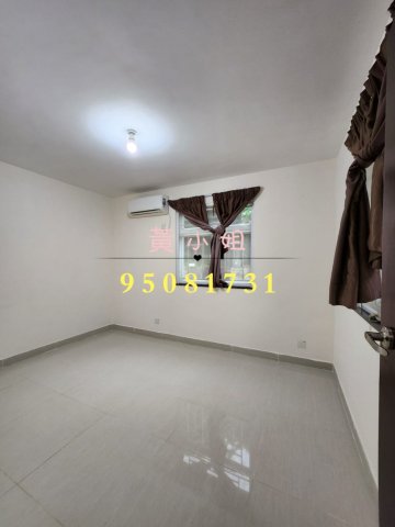 蘆慈田  95081731