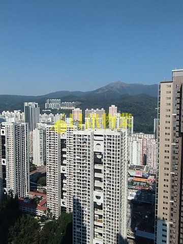 海之戀 第10座