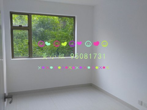 新屋家村   95081731