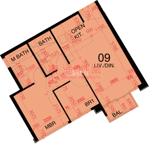 東環 第02期 第01B座 兩房兩廁