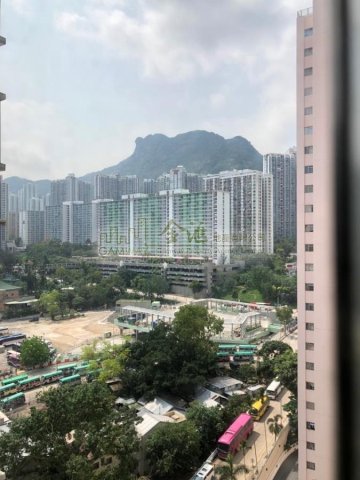 新光中心  