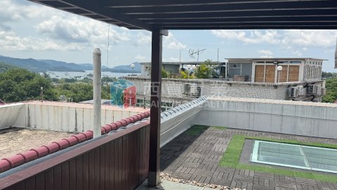 南山村