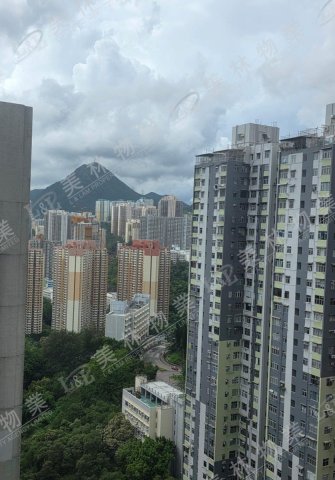 llam.com.hk