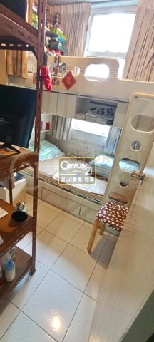 鳳德村 Y型筍盤