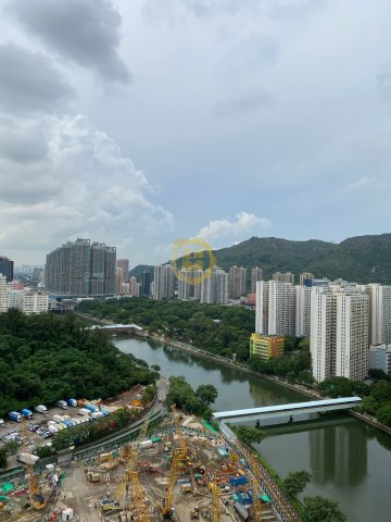 弦海
