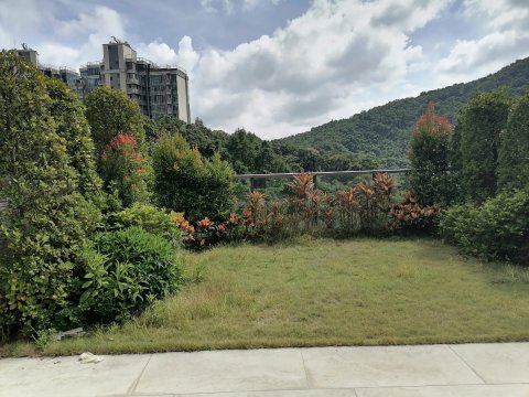 富豪山峯