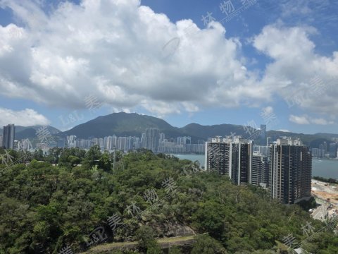llam.com.hk