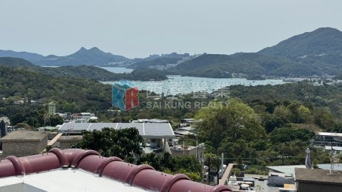 菠蘿輋