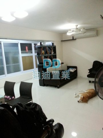 西沙路村屋 地下花園