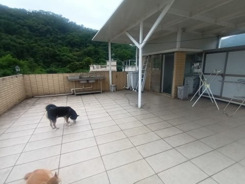 洞梓  95080030