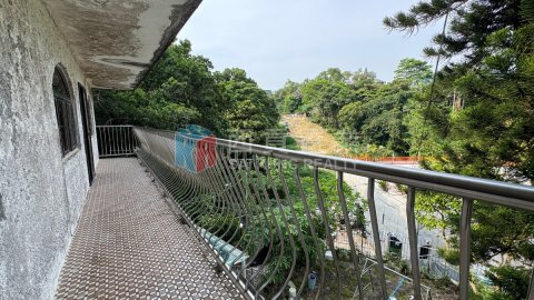 井欄樹村