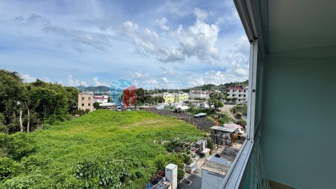 南山村