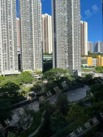 llam.com.hk