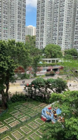 麗港城 