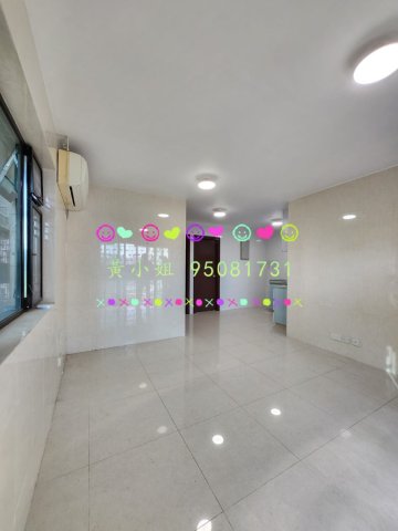 布心排  95081731