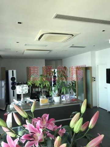 藍天海岸 第01期 第01座 大地在我腳下