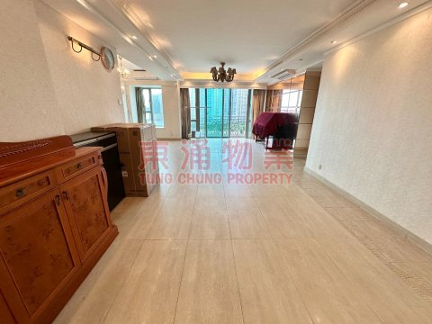 映湾园 第10座 特式..