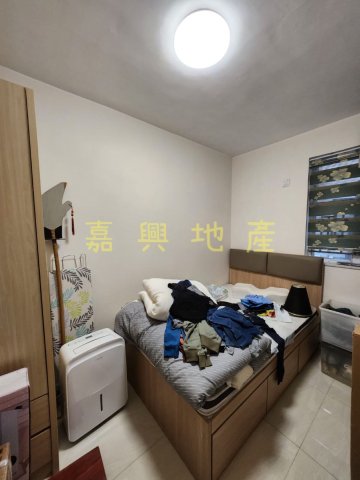 洞梓 95080030