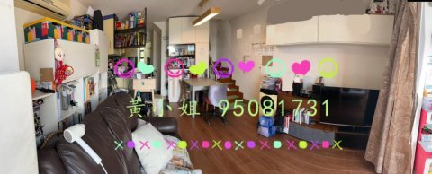 下黃宜凹  95081731