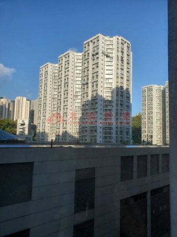 LAGUNA CITY 