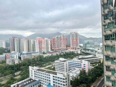 藍天海岸 第01期 第02座 抵住兩房開揚