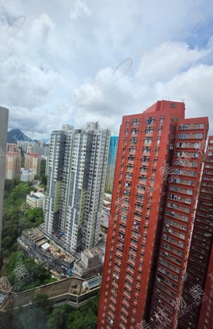 llam.com.hk
