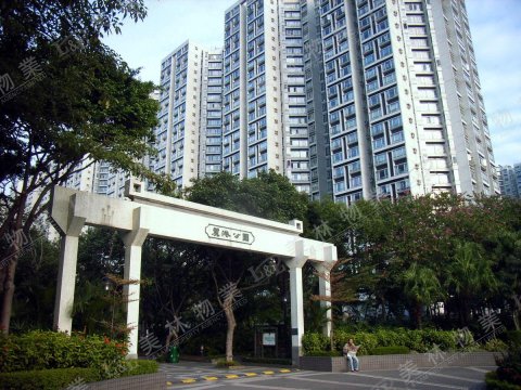 llam.com.hk