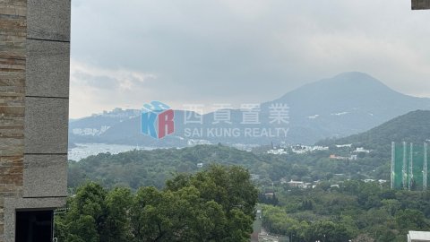 菠蘿輋