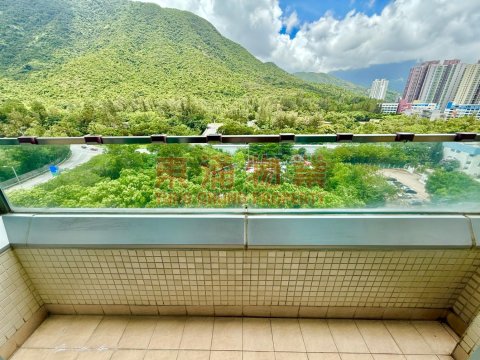 藍天海岸 第01期 第01座  低層開揚