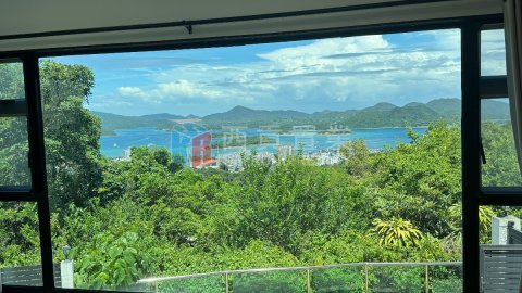 菠蘿輋 西貢半山